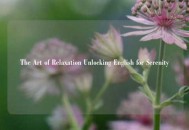 The Art of Relaxation Unlocking English for Serenity
