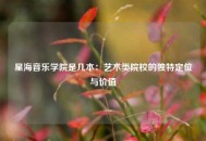 星海音乐学院是几本：艺术类院校的独特定位与价值