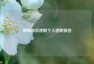 教师岗位述职个人述职报告