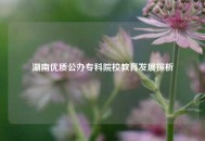 湖南优质公办专科院校教育发展探析