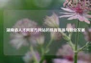 湖南省人才网官方网站的教育资源与职业发展