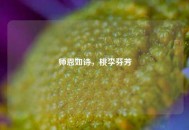 师恩如诗，桃李芬芳