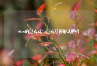 Show的过去式与过去分词形式解析