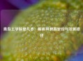 青岛工学院是几本：解析其教育定位与发展路径