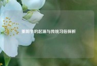 重阳节的起源与传统习俗探析