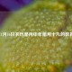 2017年1月16日农历是丙申年腊月十九的教育启示