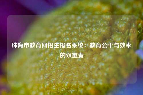 珠海市教育网招生报名系统:教育公平与效率的双重奏