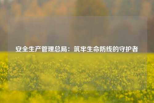 安全生产管理总局：筑牢生命防线的守护者
