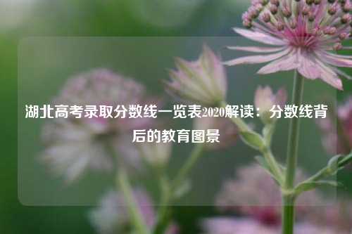 湖北高考录取分数线一览表2020解读：分数线背后的教育图景