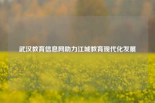 武汉教育信息网助力江城教育现代化发展