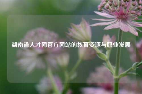 湖南省人才网官方网站的教育资源与职业发展