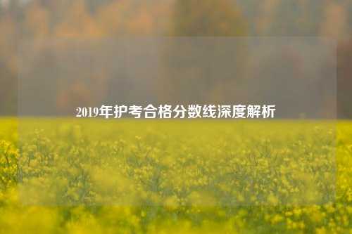2019年护考合格分数线深度解析