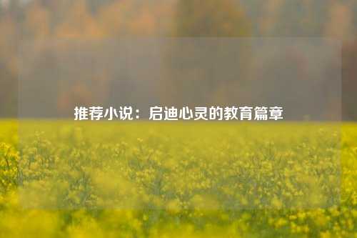 推荐小说：启迪心灵的教育篇章