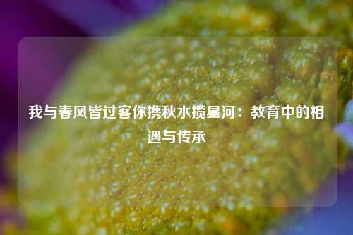 我与春风皆过客你携秋水揽星河：教育中的相遇与传承