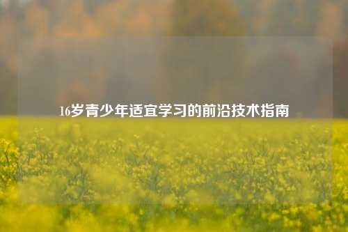 16岁青少年适宜学习的前沿技术指南